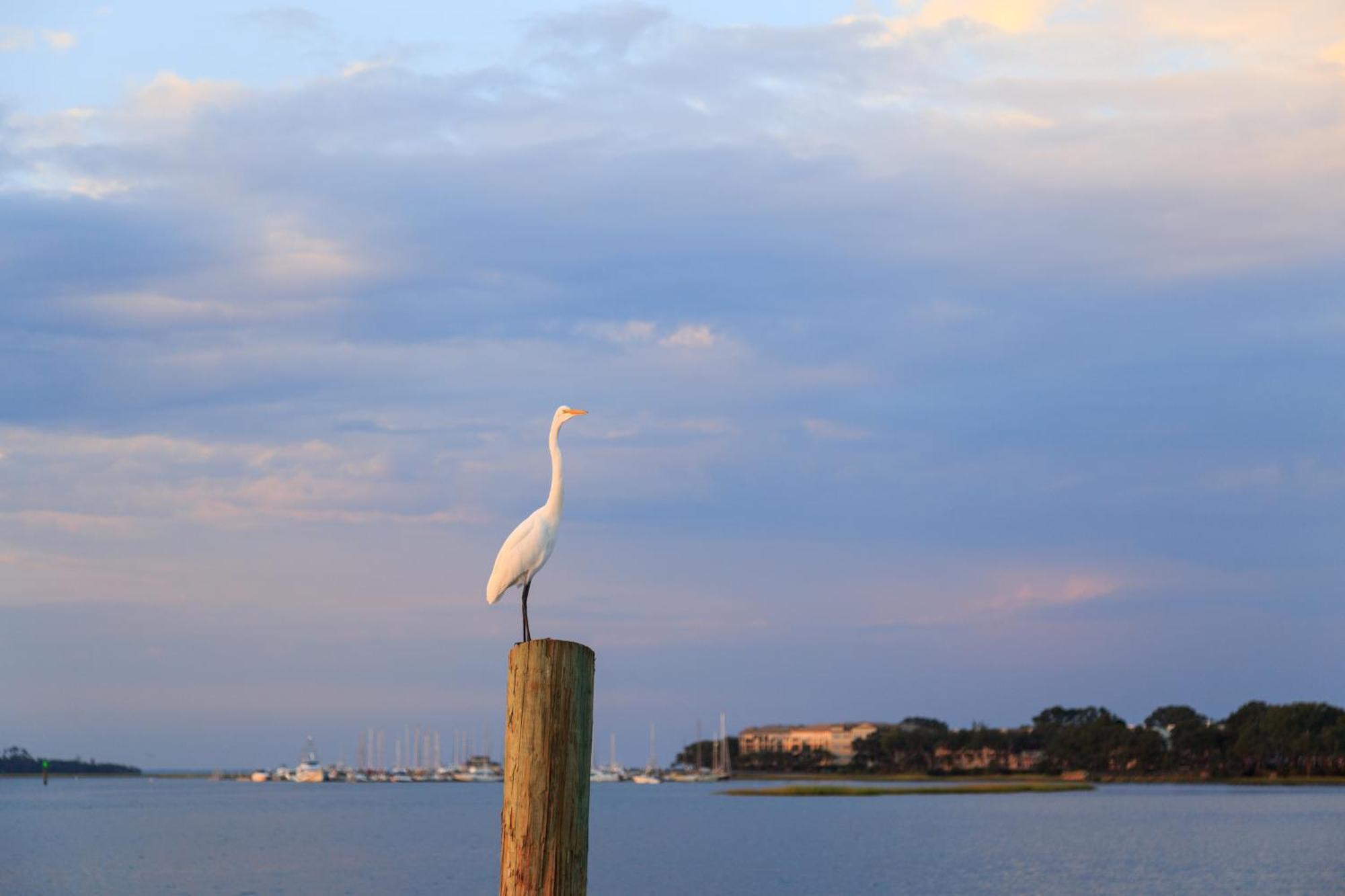Stoney Creek Villa 299 Hilton Head Island Exterior foto